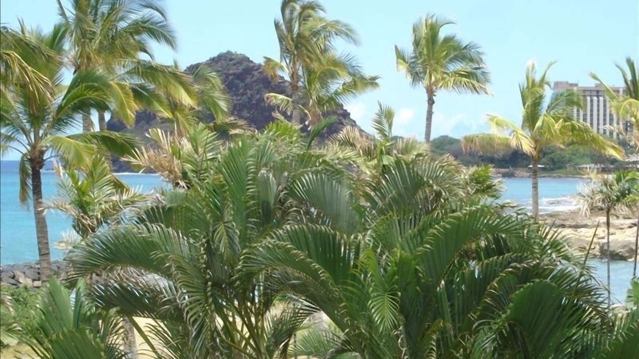 Photo of Others in Makaha