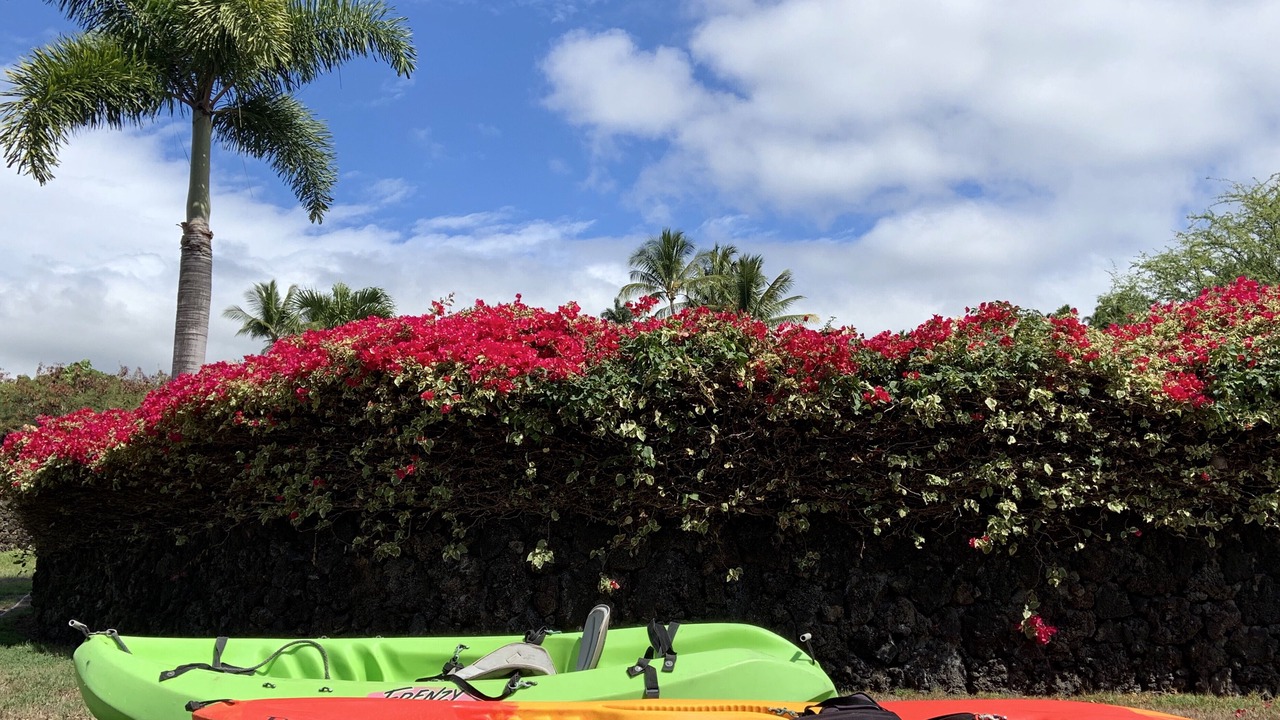 Photo of Others in Kailua-Kona