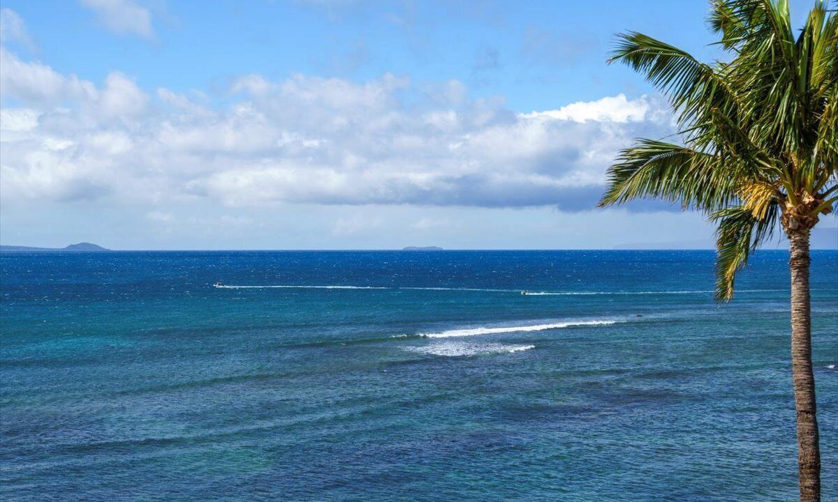 Photo of Others in Maalaea