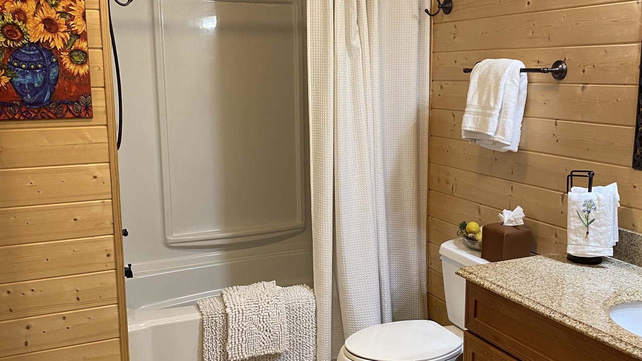 Photo of Bathroom in Mills River