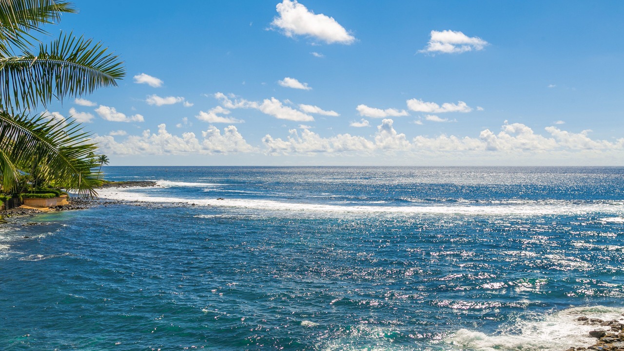 Photo of Others in Poipu