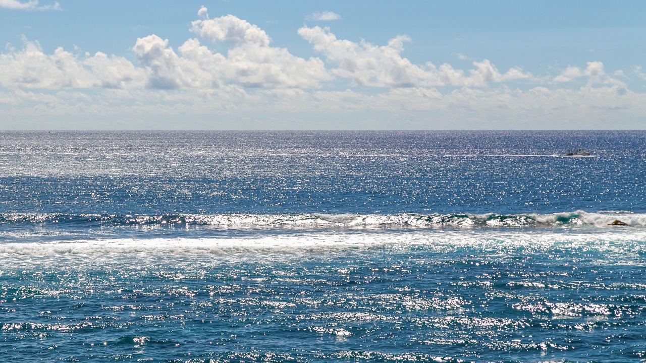 Photo of Others in Poipu