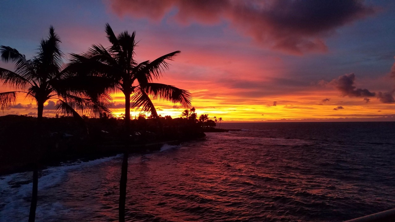 Photo of Others in Poipu