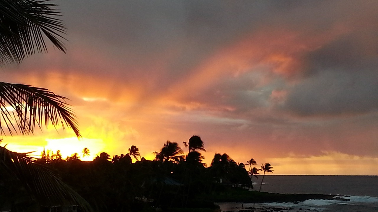 Photo of Others in Poipu
