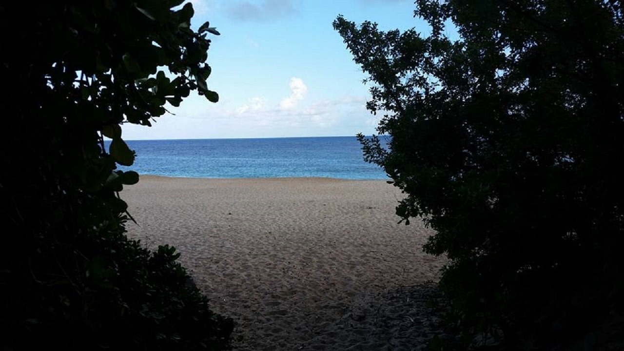Photo of Others in Pupukea