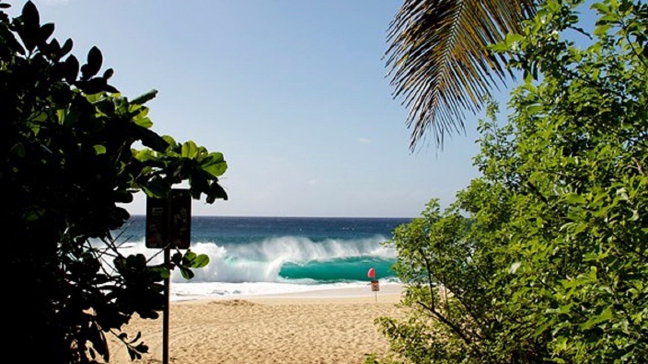 Photo of Others in Pupukea