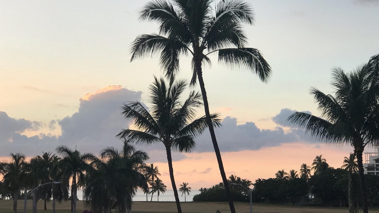 Photo of Others in Ko Olina