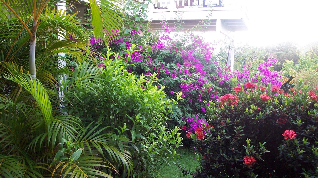 Photo of Outdoor in Kailua