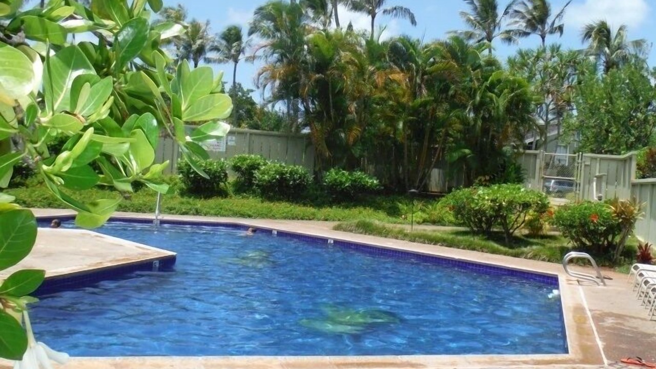Photo of Outdoor in Kahuku