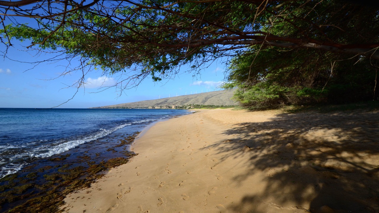 Photo of Others in Maalaea