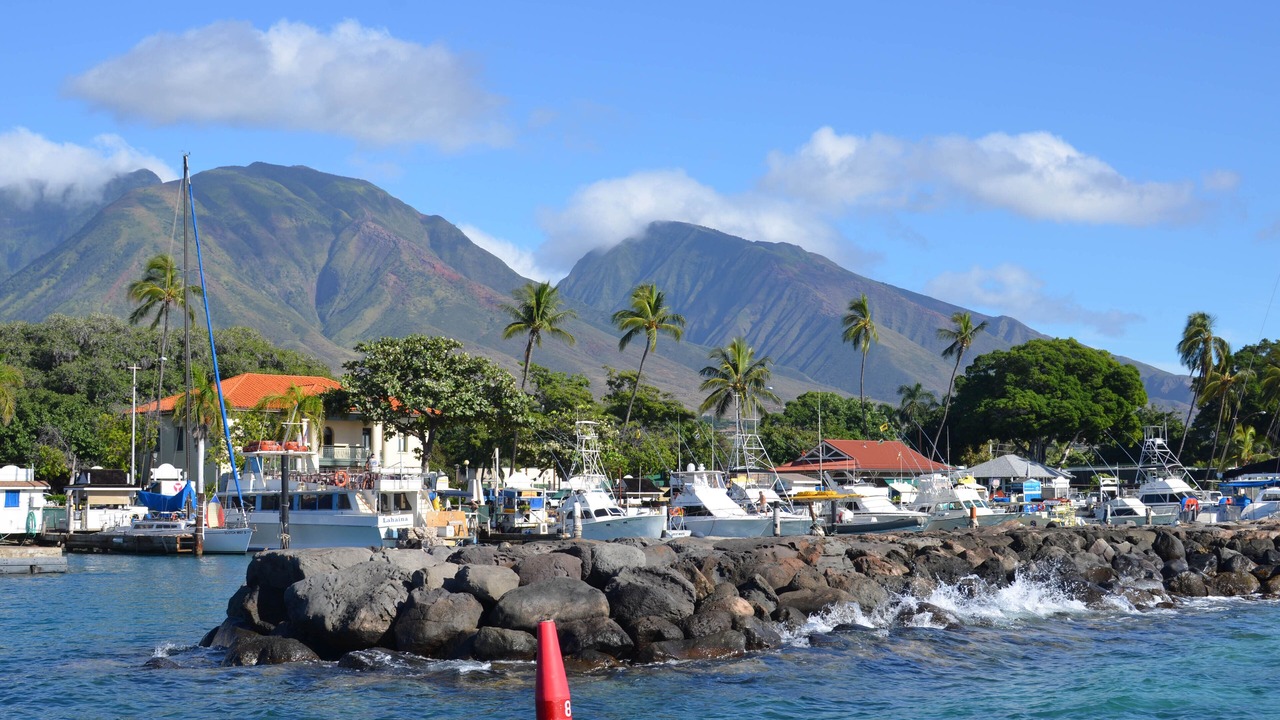 Photo of Others in Maalaea