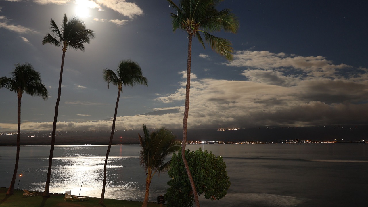 Photo of Others in Maalaea