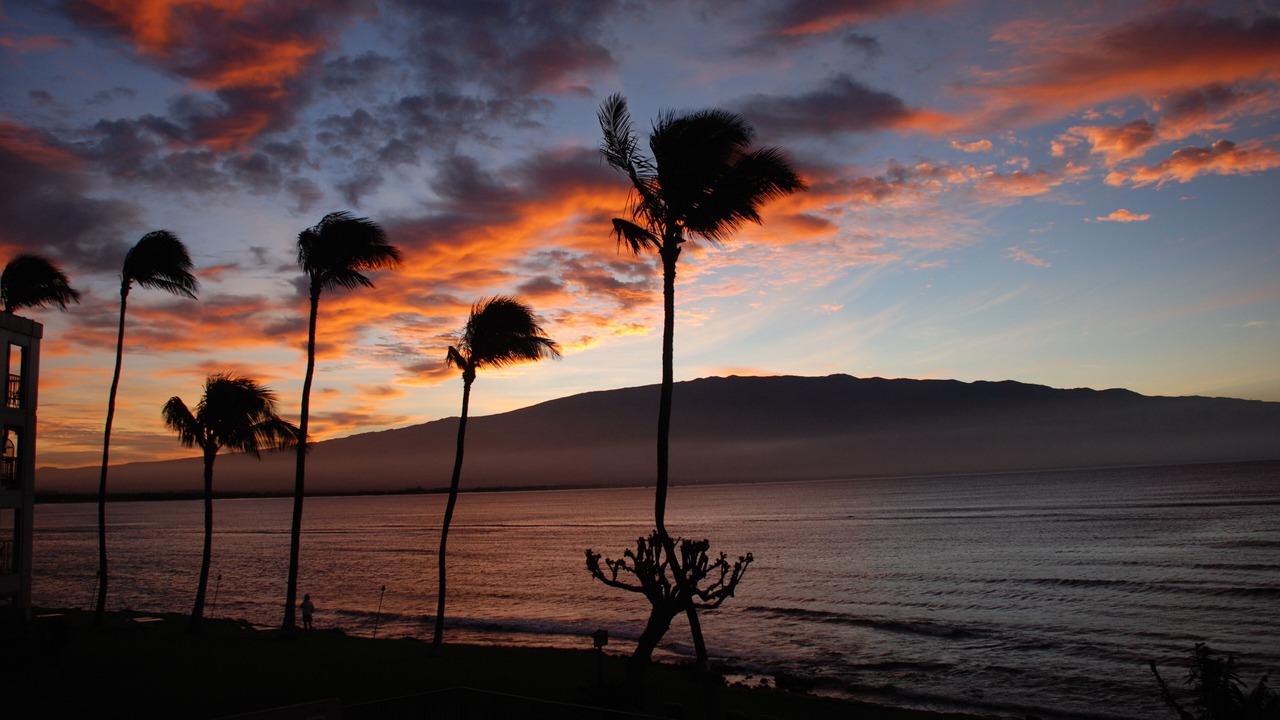 Photo of Others in Maalaea