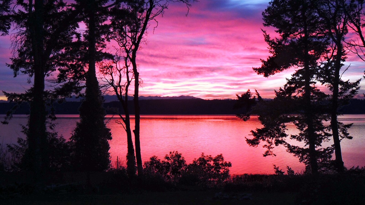 Photo of Others in Camano Island