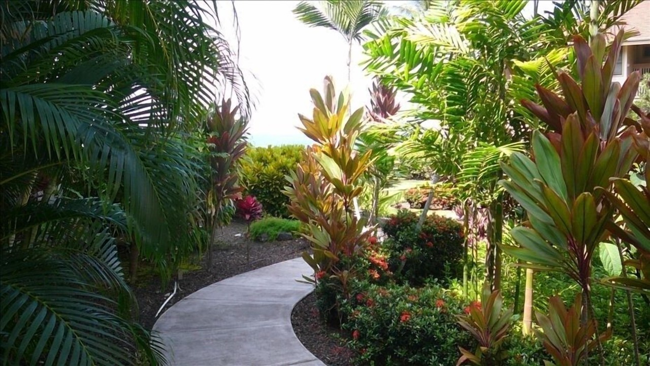 Photo of Outdoor in Kailua-Kona