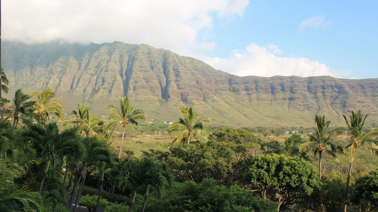 Photo of Others in Makaha