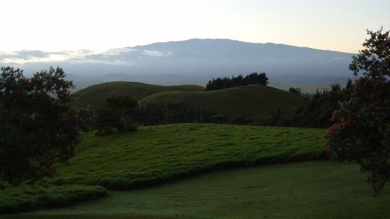 Photo of Others in Kamuela