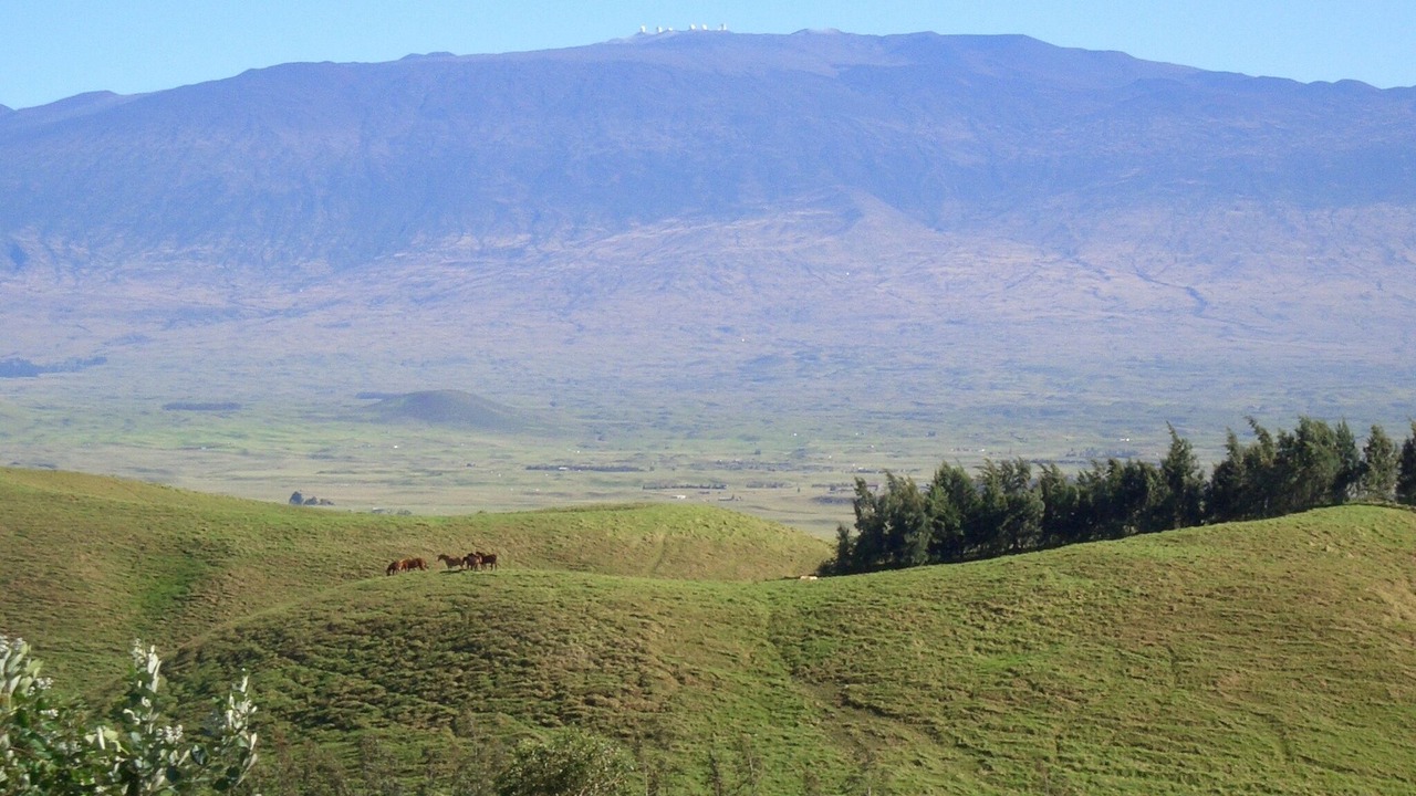 Photo of Others in Kamuela