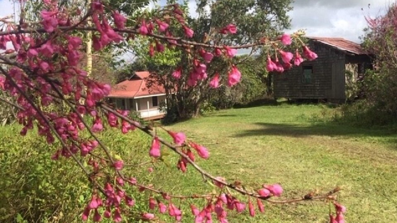 Photo of Outdoor in Kamuela