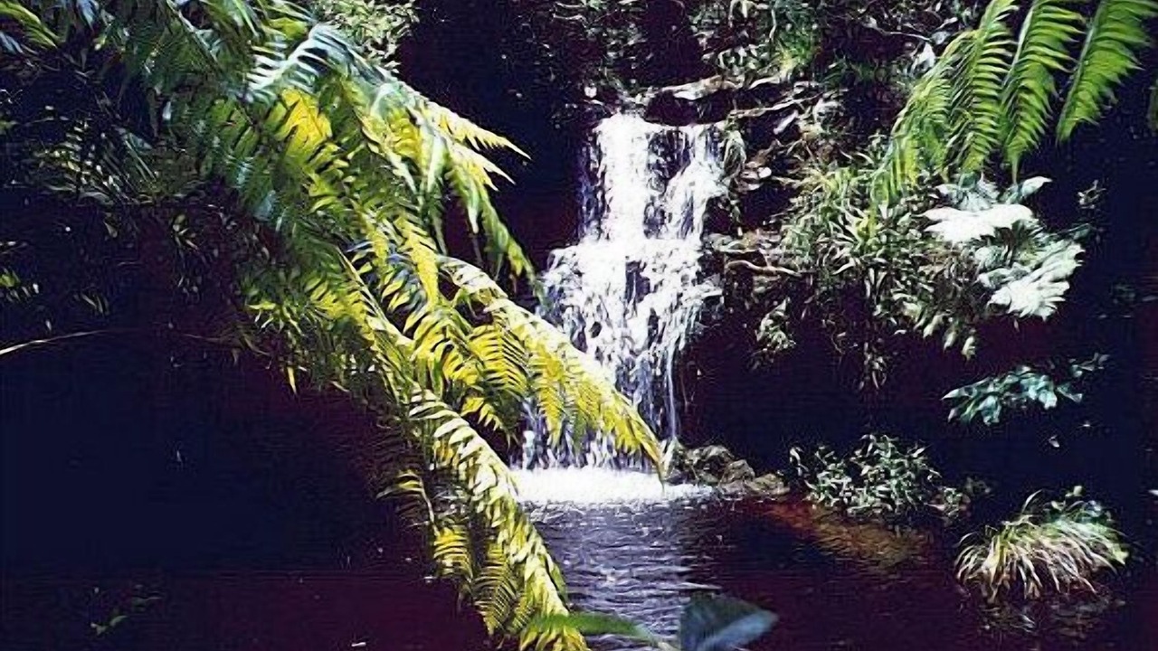 Photo of Others in Kamuela