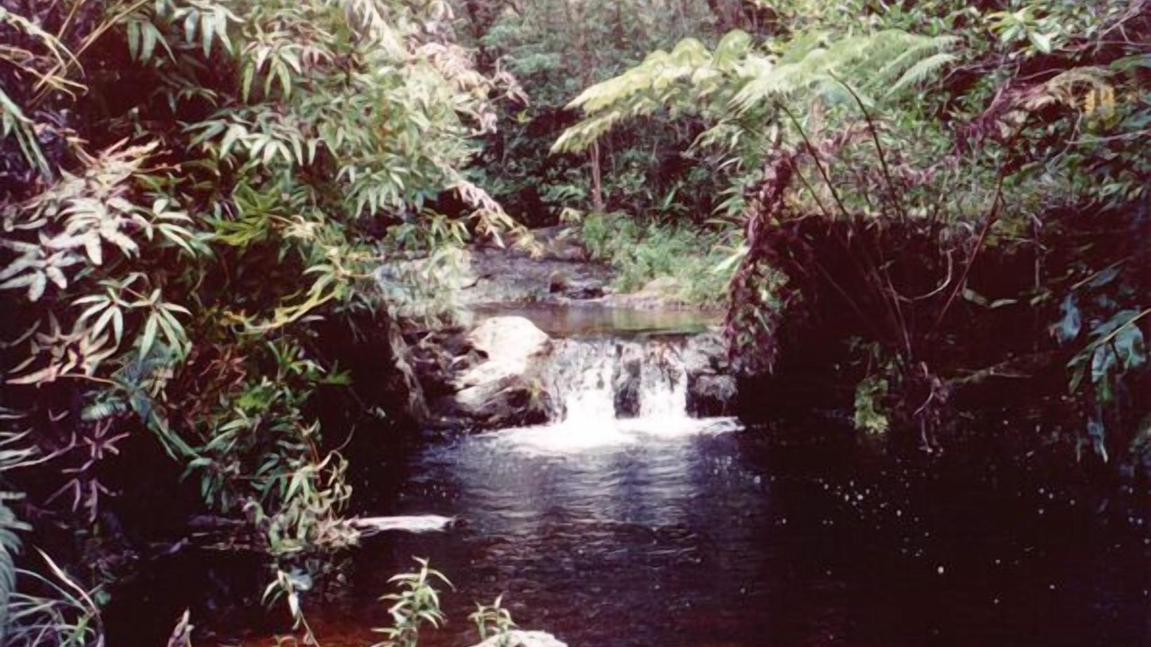 Photo of Others in Kamuela
