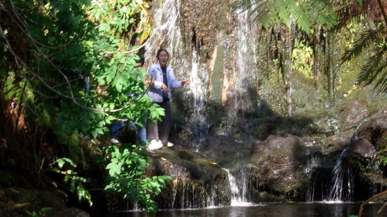 Photo of Others in Kamuela