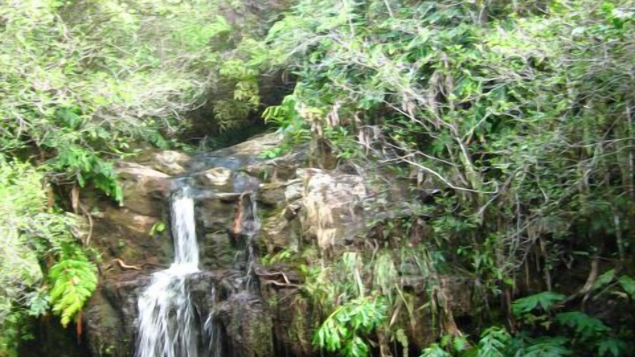 Photo of Others in Kamuela