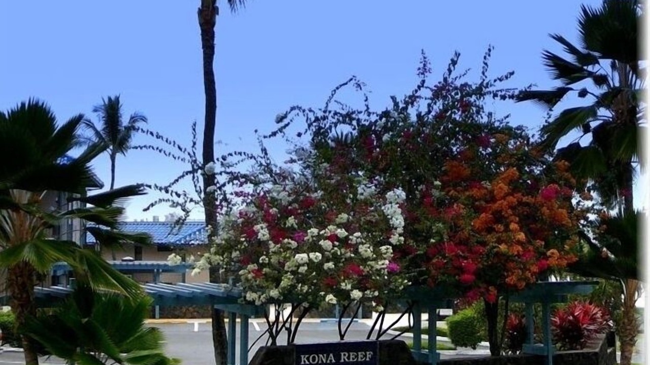 Photo of Others in Historic Kailua Village