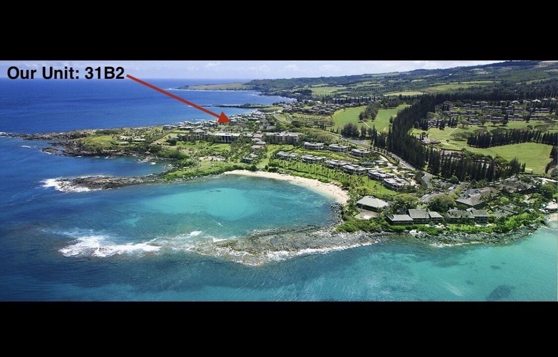 Photo of Others in Napili