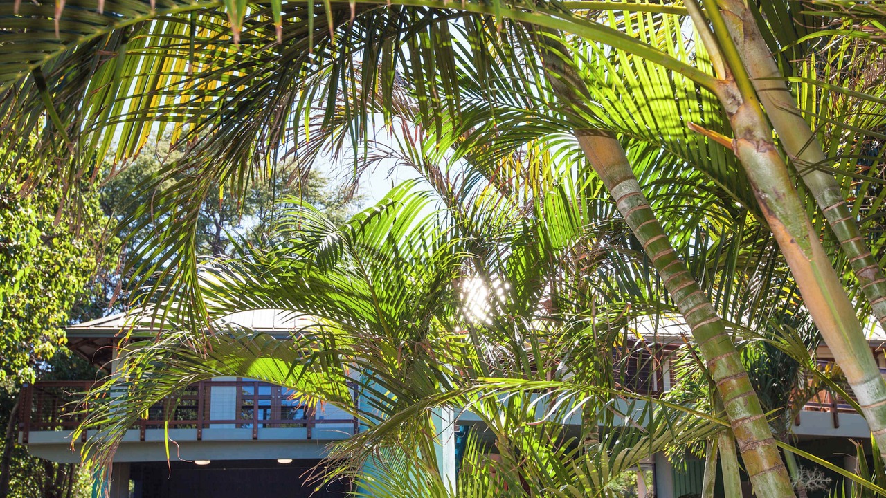 Photo of Outdoor in Puako