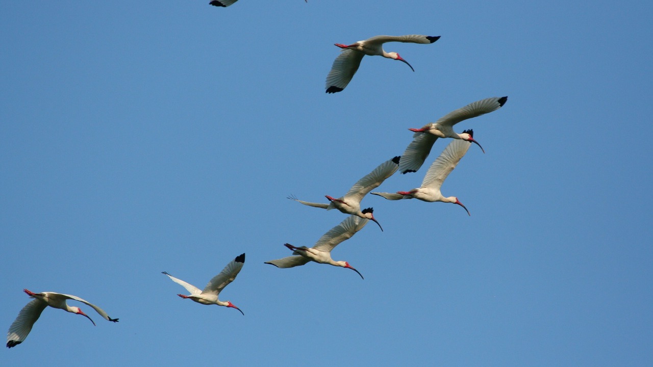 Photo of Others in Darien