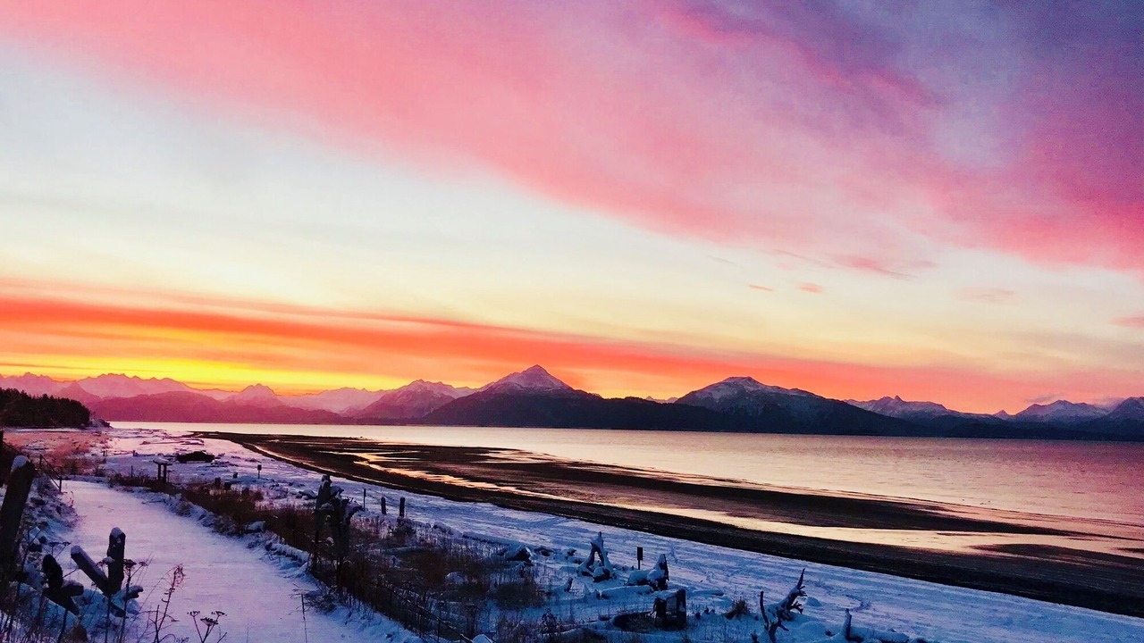 Photo of Others in Homer