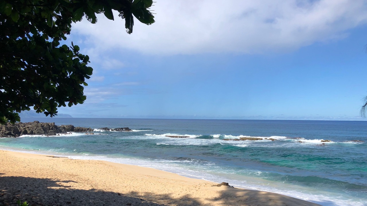 Photo of Others in Pupukea