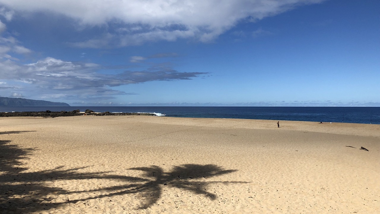 Photo of Others in Pupukea