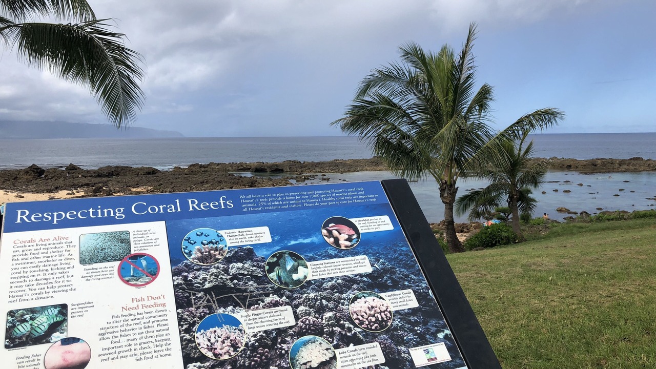 Photo of Others in Pupukea