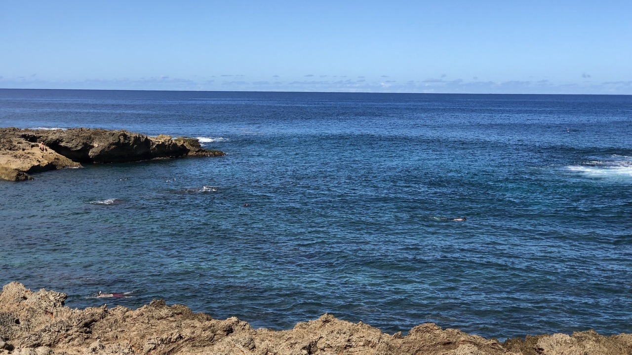 Photo of Others in Pupukea