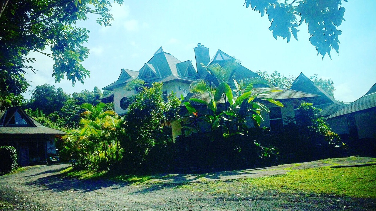 Photo of Outdoor in Holualoa