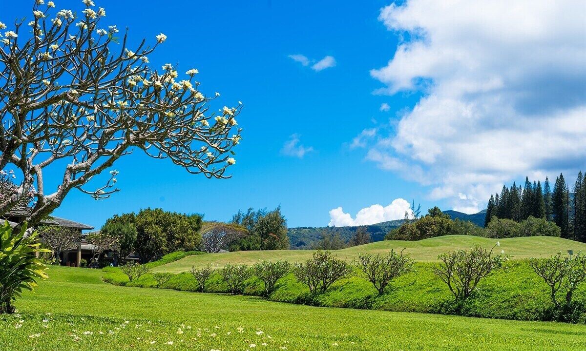 Photo of Others in Kapalua