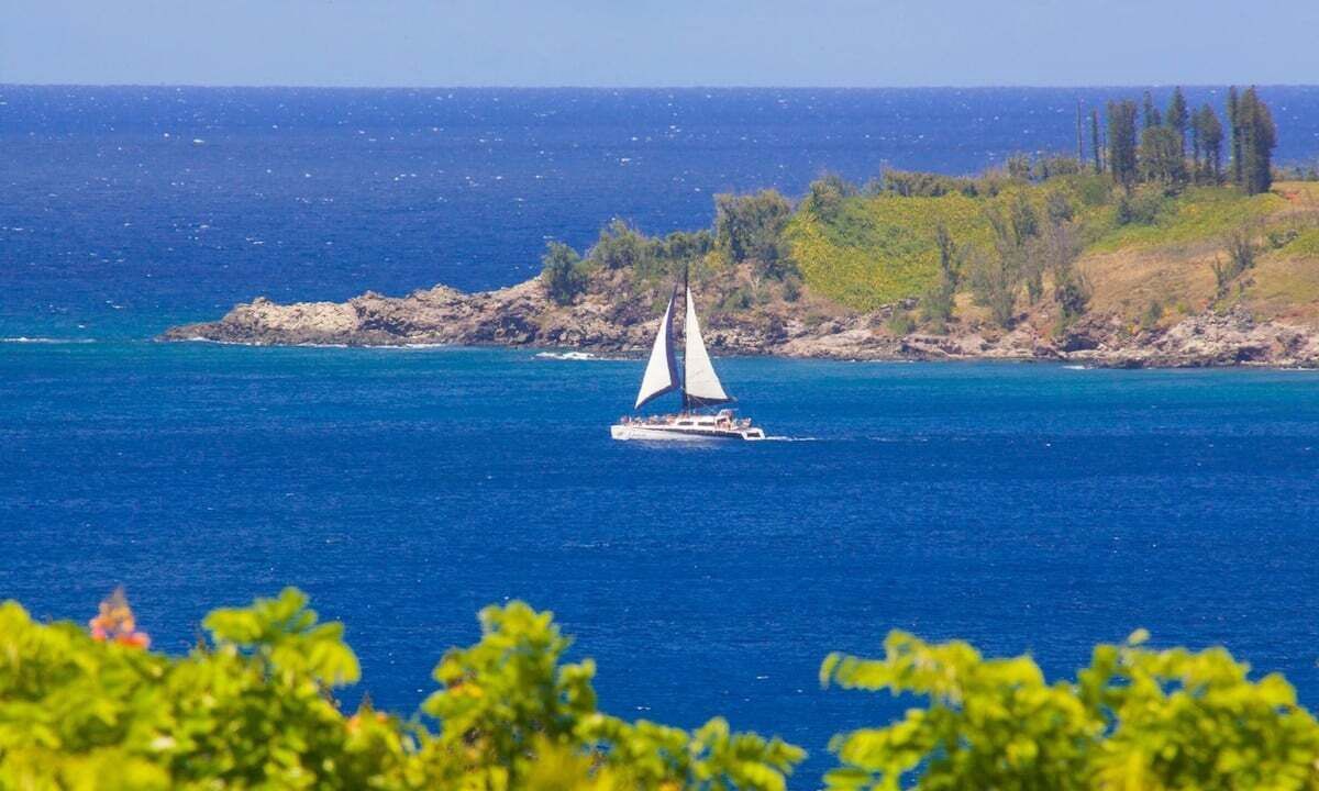 Photo of Others in Kapalua