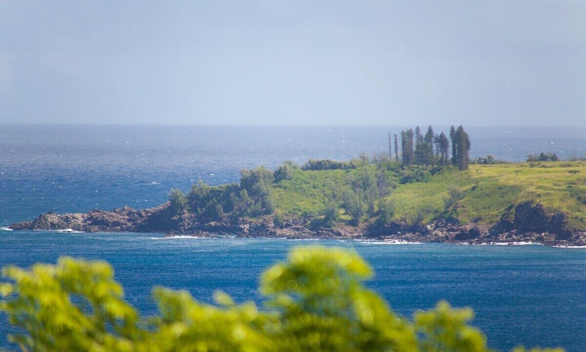 Photo of Others in Kapalua