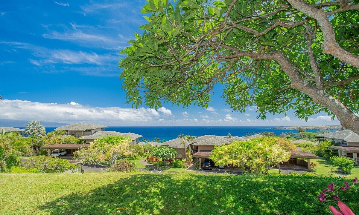 Photo of Others in Kapalua