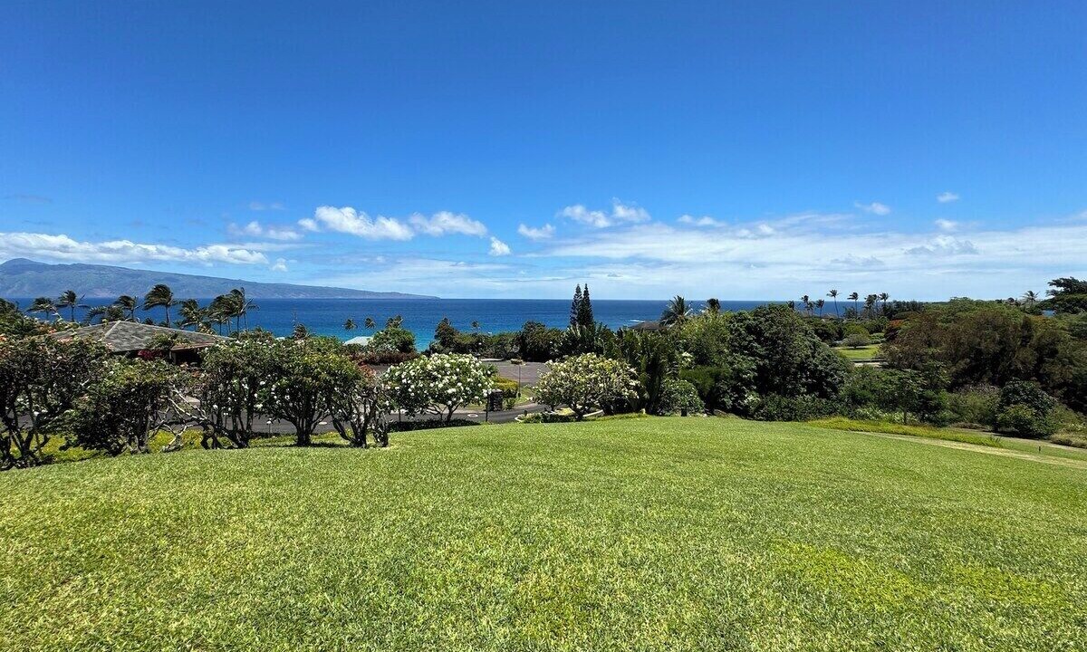Photo of Others in Kapalua