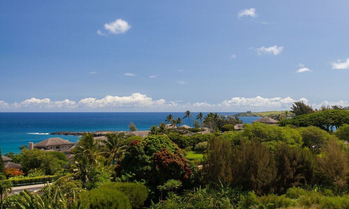 Photo of Others in Kapalua