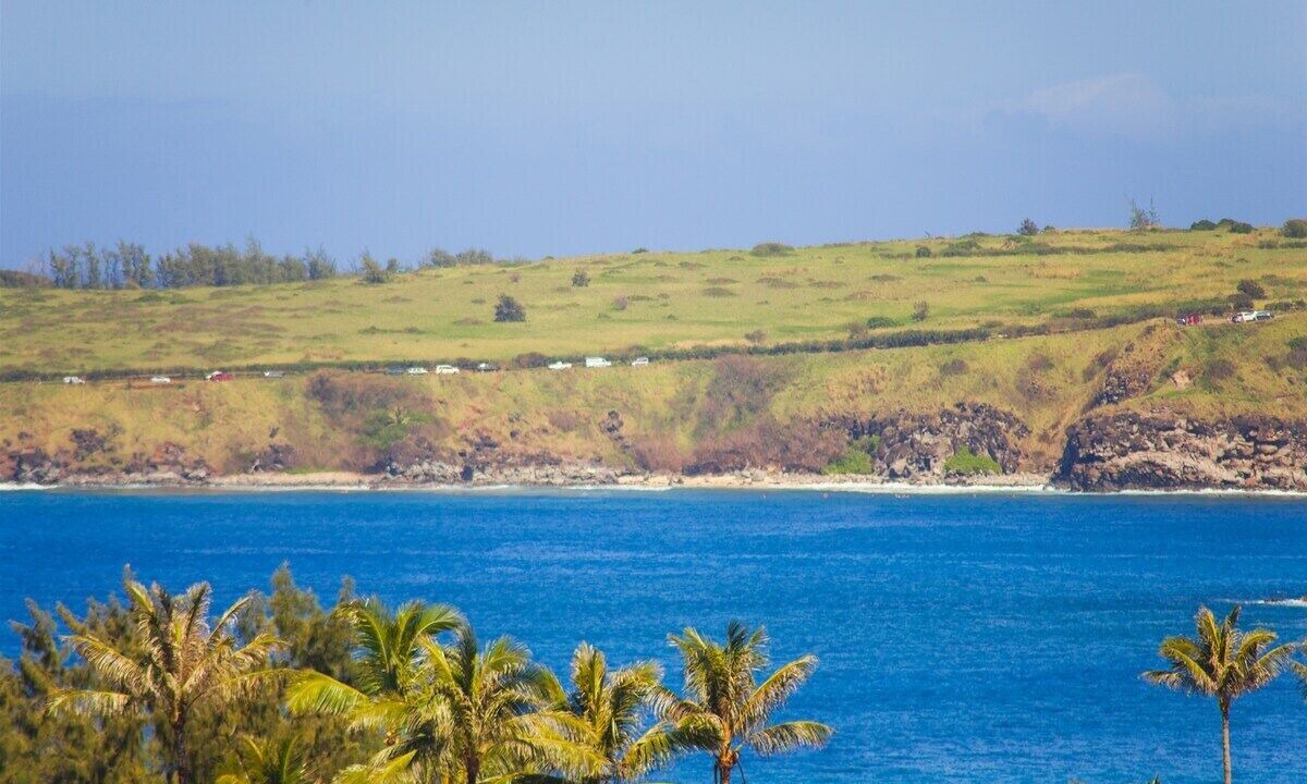 Photo of Others in Kapalua
