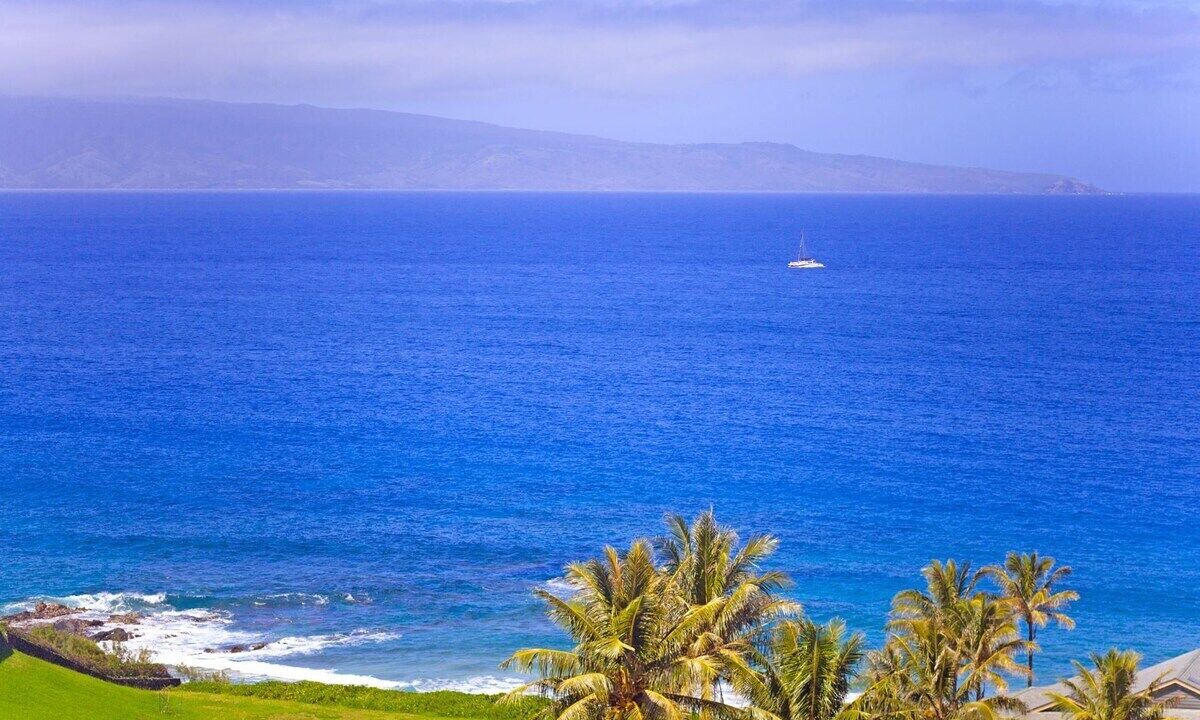 Photo of Others in Kapalua