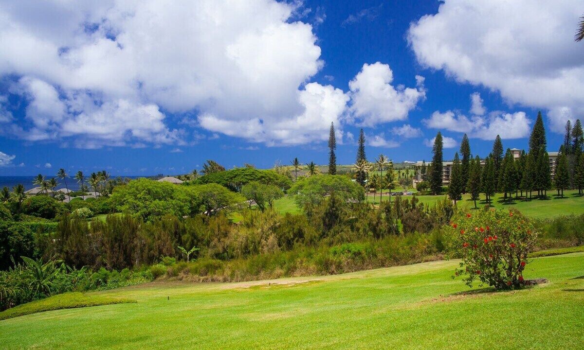 Photo of Others in Kapalua