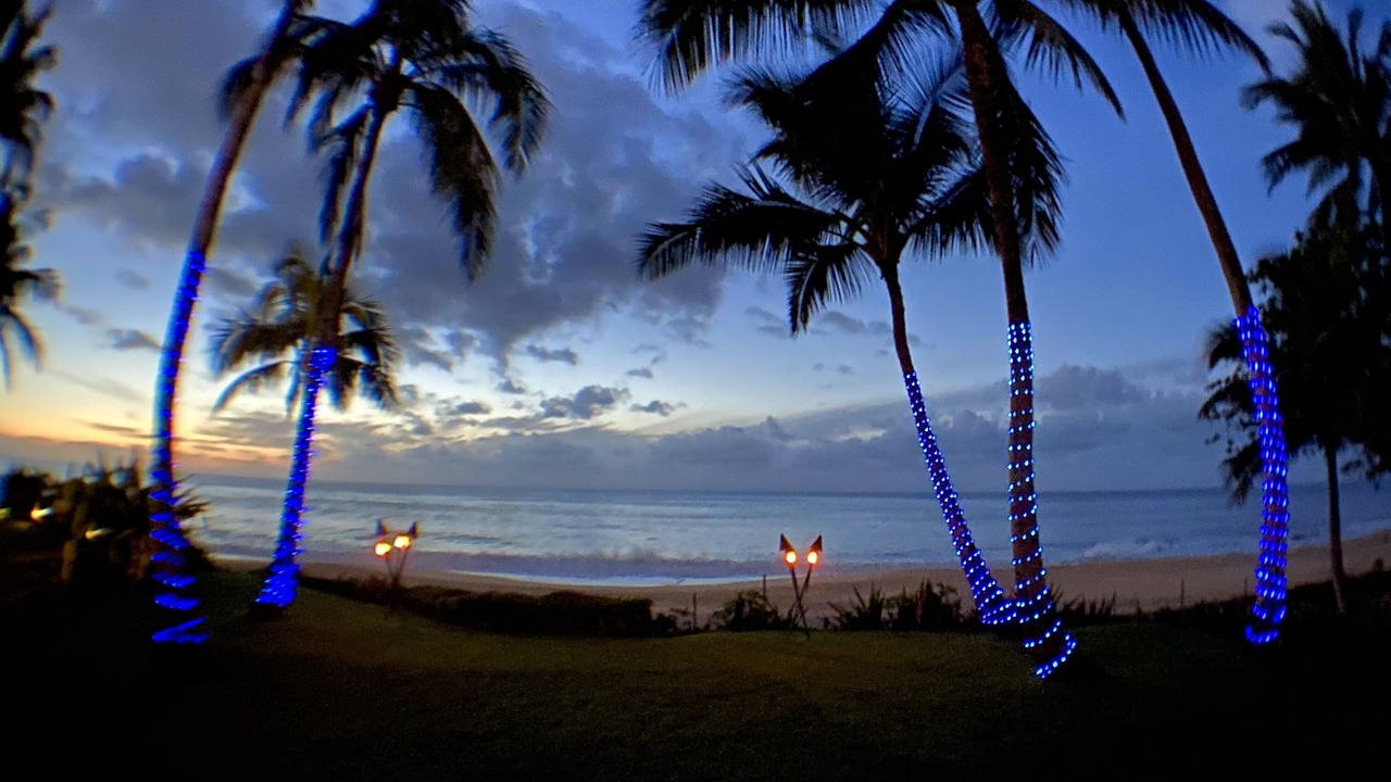 Photo of Outdoor in Pupukea