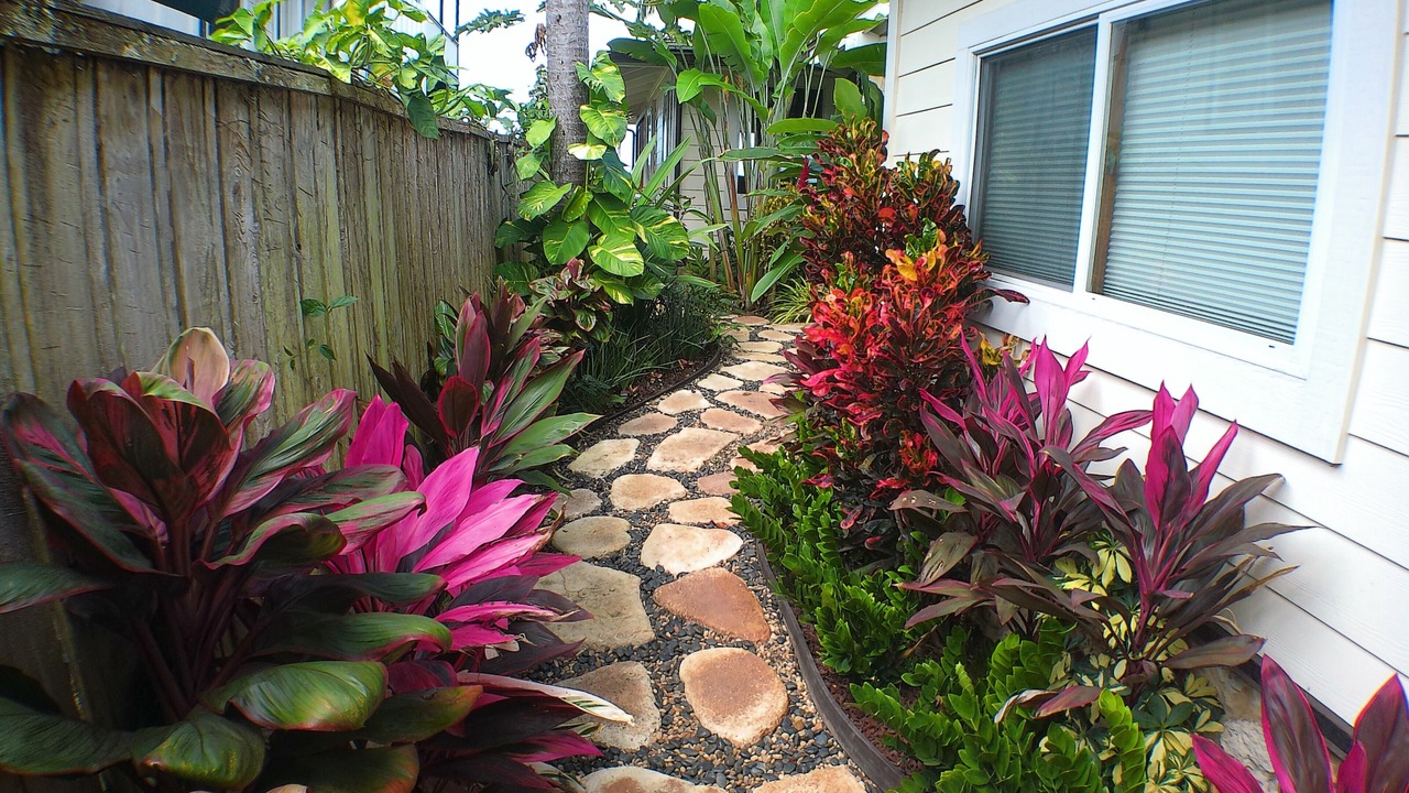Photo of Outdoor in Pupukea