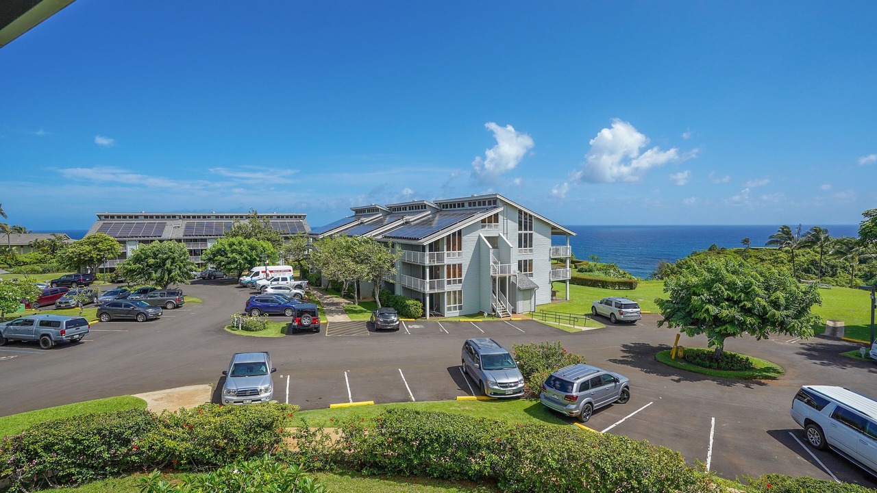 Photo of Outdoor in Princeville