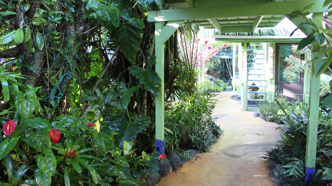 Photo of Outdoor in Keaau